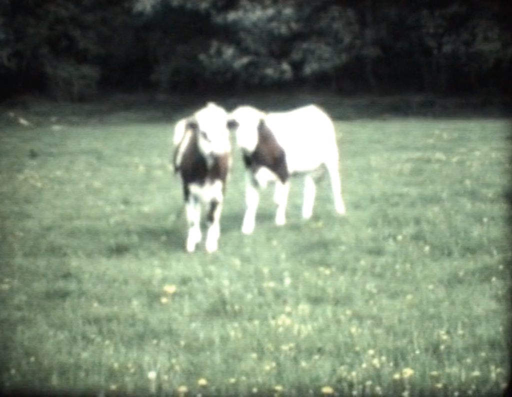 boris-du-boullay_la-vache-folle-1024x793