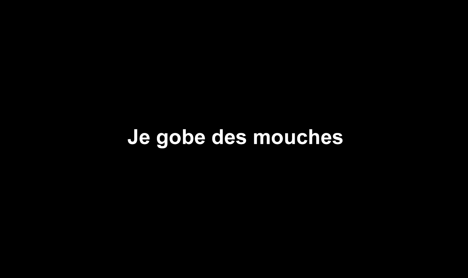 cinema_multimedia_art-video_je-gobe-des-mouches